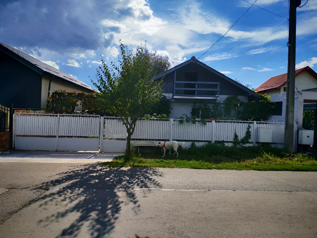 fatada si gard alb casa vanzare-cumparare Siliștea Snagovului Ilfov